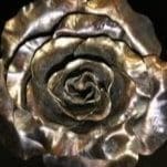 Floral Forms: Rose & Iris class project